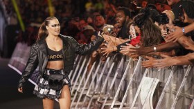 Ronda Rousey: The Shield nebo The Bloodline?, Karl Anderson bude po návratu do WWE pracovat také pro NJPW