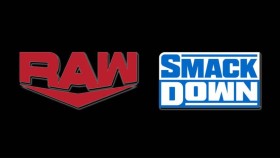 Hvězda WWE byla přesunuta z rosteru RAW do SmackDownu