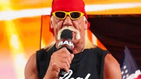 WWE buď omezí vystupování Hulka Hogana, nebo z něj udělá záporáka