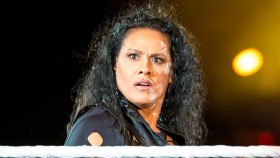 Tamina Snuka se už prý do ringu WWE nevrátí, ale ...