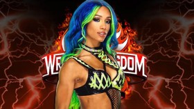 Sasha Banks se dohodla s NJPW bez vědomí WWE. Co to znamená?