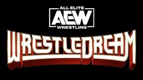 Pro nedělní PPV show AEW WrestlerDream byl potvrzen nový zápas