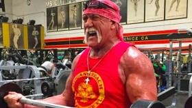 Připravuje se Hulk Hogan ke svému návratu do WWE?