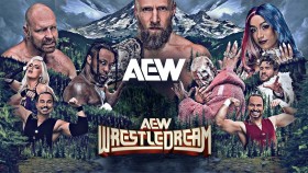 Finální karta zápasů pro dnešní placenou akci AEW WrestleDream 2024