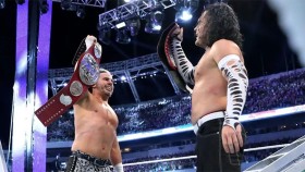 Matt Hardy potvrdil, že on a Jeff se chtějí vrátit do WWE