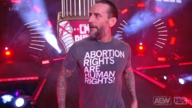 CM Punk svým tričkem ve včerejší show AEW Dynamite naštval bývalého wrestlera WWE