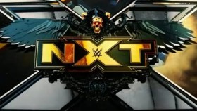 Došlo k odhalení nového loga a části theme songu pro WWE NXT