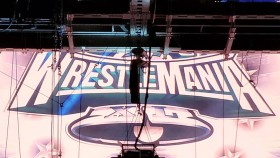 WWE odhalila oficiální logo pro WrestleManii 40