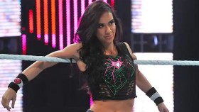 Interní názor na AJ Lee a její možný návrat do WWE