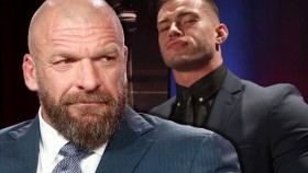 Theory věří, že Triple H je tou správnou osobou, která nahradí Vince McMahona