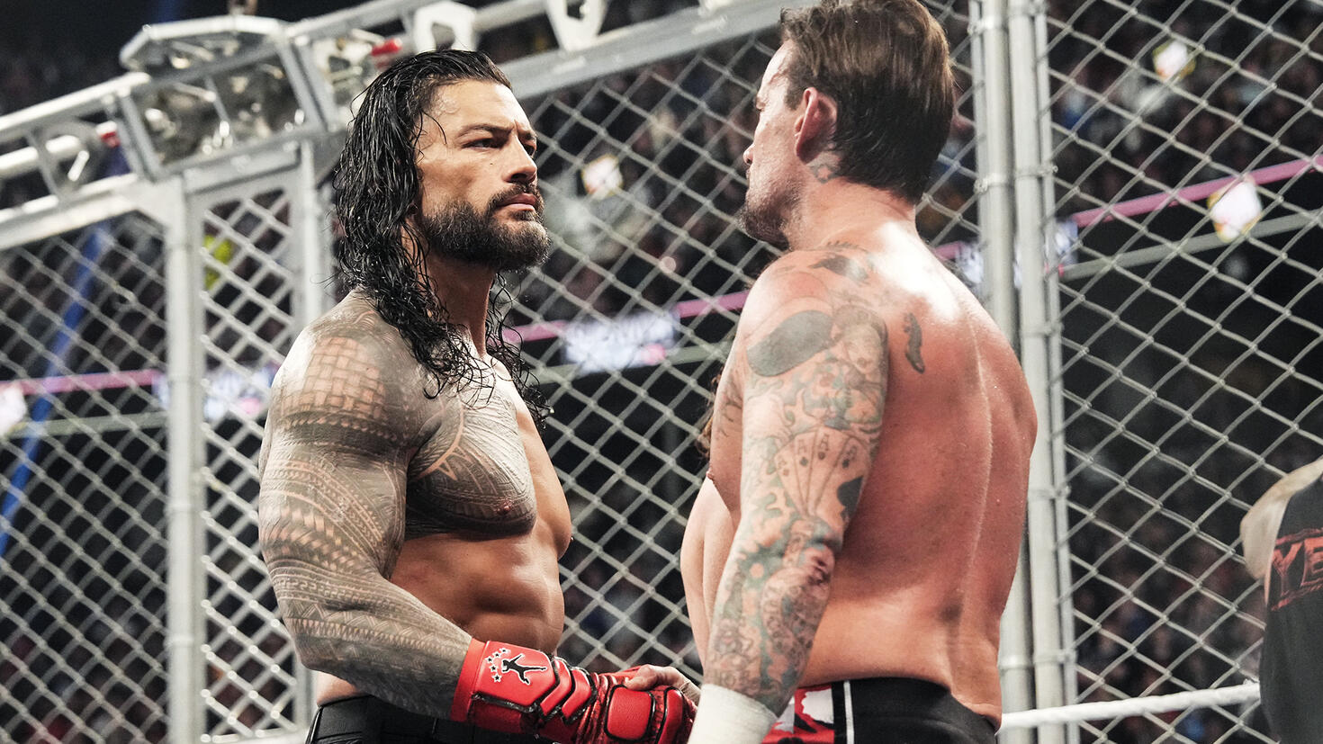 Roman Reigns & CM Punk