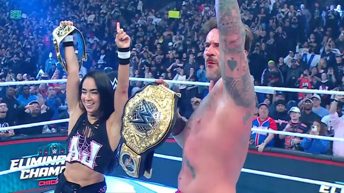 AJ Lee & CM Punk