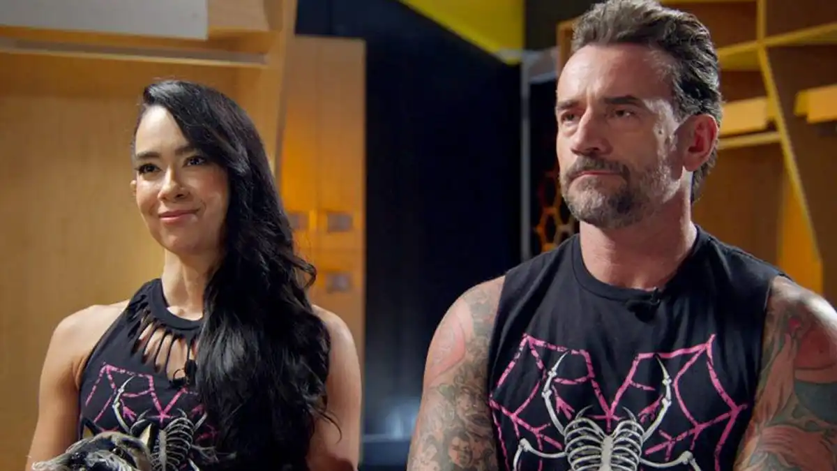 AJ Lee & CM Punk