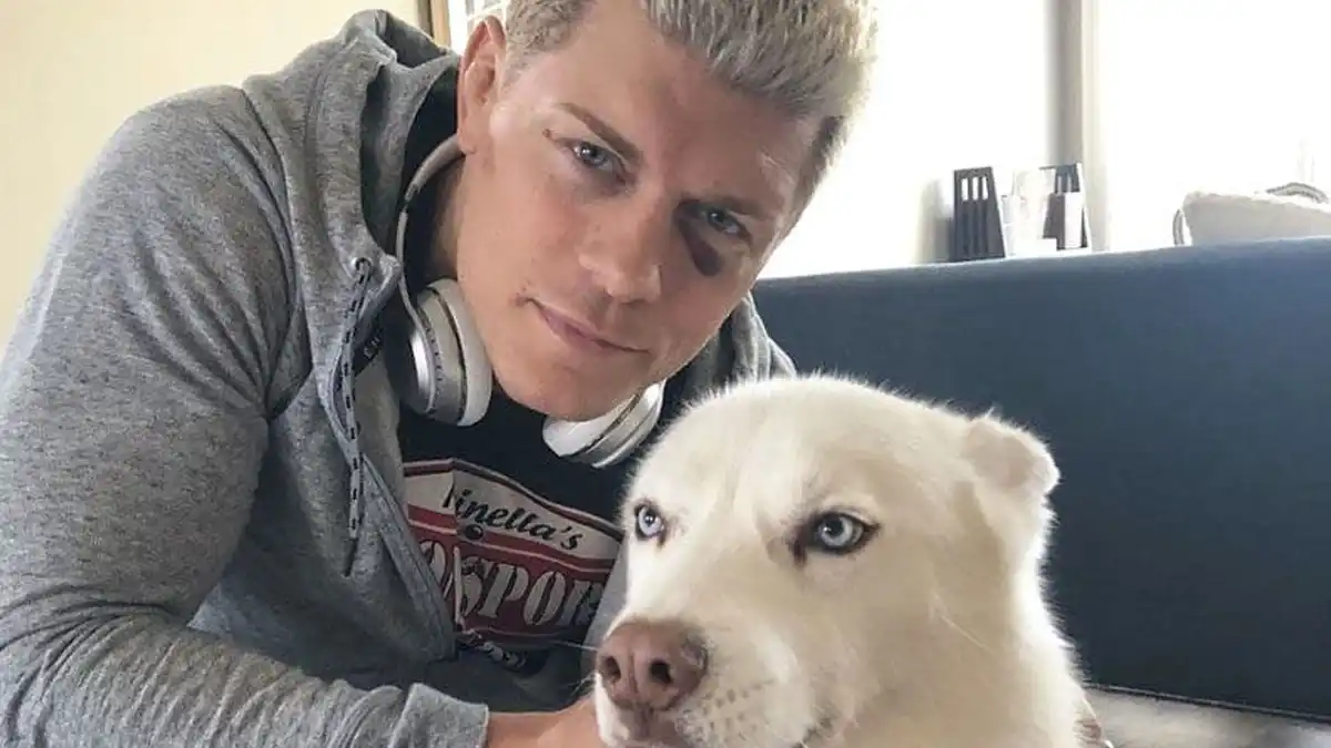 Cody Rhodes & Pharaoh