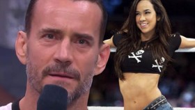 CM Punk & AJ Lee