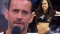 CM Punk & AJ Lee