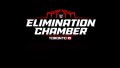 WWE Elimination Chamber