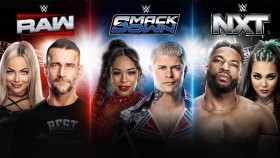 RAW, SmackDown & NXT na Netflixu