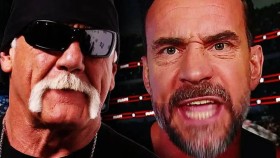 Hulk Hogan & CM Punk